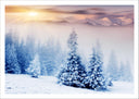 Lámina Bosque Nevado Atardecer, Nieve,naturaleza