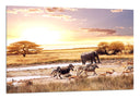 Cuadro Atardecer en el Desierto, Animales Salvajes,naturaleza