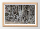 Cuadro enmarcado natural buda oriental, raices, arbol, relajacion, meditacion, zen