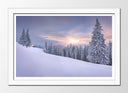 Cuadro enmarcado blanco Bosque Nevado Atardecer, Nieve,naturaleza