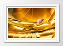 Cuadro enmarcado blanco buda oriental ,dorado ,manos, relajacion ,meditacion, zen