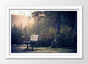Cuadro enmarcado blanco Banco en el Camino del Bosque, Naturaleza