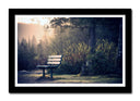 Cuadro enmarcado negro Banco en el Camino del Bosque, Naturaleza