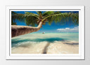 Cuadro enmarcado blanco playa tropical, palmera, vacaciones, relax
