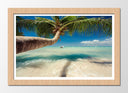 Cuadro enmarcado natural playa tropical, palmera, vacaciones, relax