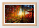 Cuadro enmarcado natural Paisaje Bosque Atardecer Otono,naturaleza