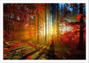 Lámina Paisaje Bosque Atardecer Otono,naturaleza