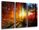 Tríptico Paisaje Bosque Atardecer Otono,naturaleza