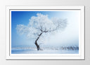 Cuadro enmarcado blanco Paisaje Invierno, Arbol Nevado,naturaleza