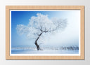 Cuadro enmarcado natural Paisaje Invierno, Arbol Nevado,naturaleza