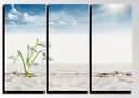 Tríptico Paisaje Desierto, Dunas,naturaleza