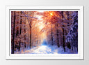 Cuadro enmarcado blanco Bosque Invierno, Paisaje Naturaleza