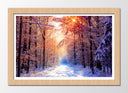 Cuadro enmarcado natural Bosque Invierno, Paisaje Naturaleza
