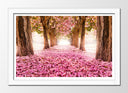 Cuadro enmarcado blanco Camino Bosque, Flores, Arboles,rosa