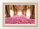 Cuadro enmarcado natural Camino Bosque, Flores, Arboles,rosa