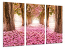 Tríptico Camino Bosque, Flores, Arboles,rosa