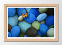 Cuadro enmarcado natural imagen naturaleza, conjunto de piedras azules con mariposa