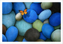 Lámina imagen naturaleza, conjunto de piedras azules con mariposa