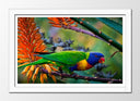 Cuadro enmarcado blanco Loro Caribe Exotico, Naturaleza,rama