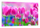 Cuadro Campo de Tulipanes Rosas,naturaleza