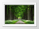 Cuadro enmarcado blanco Bosque , Casa Madera, Arboles,naturaleza
