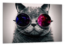 Cuadro gato lennon, gafas, hippie, retro