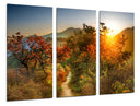 Tríptico Paisaje Bosque Atardecer,naturaleza