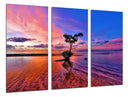 Tríptico Paisaje Naturaleza Lago Laguna Arbol Atardecer
