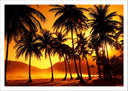 Lámina paisaje playa con palmeras, atardecer, relax