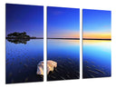 Tríptico paisaje mar, atardecer