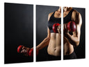 Tríptico torso mujer haciendo deporte, mancuernas
