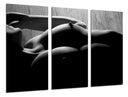 Tríptico silueta mujer torso desnudo blanco y negro