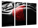 Tríptico silueta de mujer ropa interior roja, blanco y negro