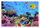 Lámina Paisaje Bajo el Mar, Peces Acuario