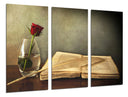 Tríptico libro antiguo, escritura, rosa, vintage