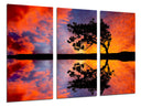 Tríptico Paisaje Naturaleza Lago Laguna Arbol Atardecer