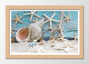 Cuadro enmarcado natural etsrellas de mar, conchas ,caracolas sobre el mar