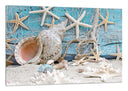 Cuadro etsrellas de mar, conchas ,caracolas sobre el mar