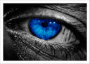 Lámina ojo azul intenso hombre blanco y negro