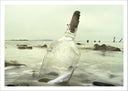 Lámina paisaje botella con mensaje en el mar