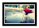 Cuadro enmarcado negro flor en una botella, amor, reflejo charco