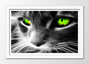 Cuadro enmarcado blanco gato neon, ojos verdes, animal