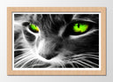 Cuadro enmarcado natural gato neon, ojos verdes, animal