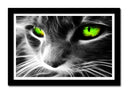 Cuadro enmarcado negro gato neon, ojos verdes, animal