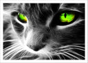 Lámina gato neon, ojos verdes, animal