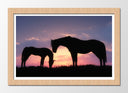 Cuadro enmarcado natural caballos en puesta de sol, pradera, salvaje, atardecer