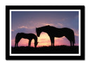 Cuadro enmarcado negro caballos en puesta de sol, pradera, salvaje, atardecer