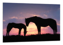 Cuadro caballos en puesta de sol, pradera, salvaje, atardecer