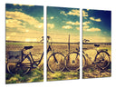 Tríptico paisaje bicicletas, vintage, campo