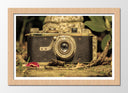 Cuadro enmarcado natural camara leica antigua, vintage, sepia